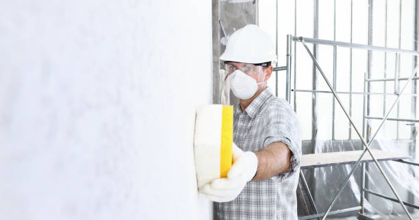 Why You Should Choose Our Mold Remediation Services in Carrollton, OH